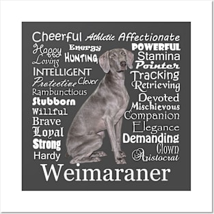 Weimaraner Posters and Art